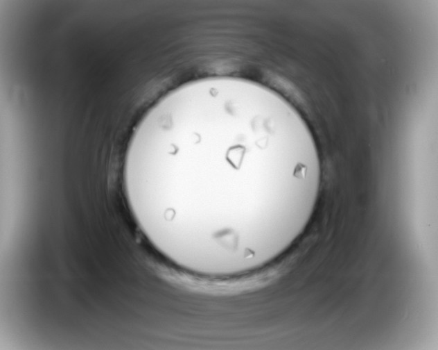 X0000086250018200704261945