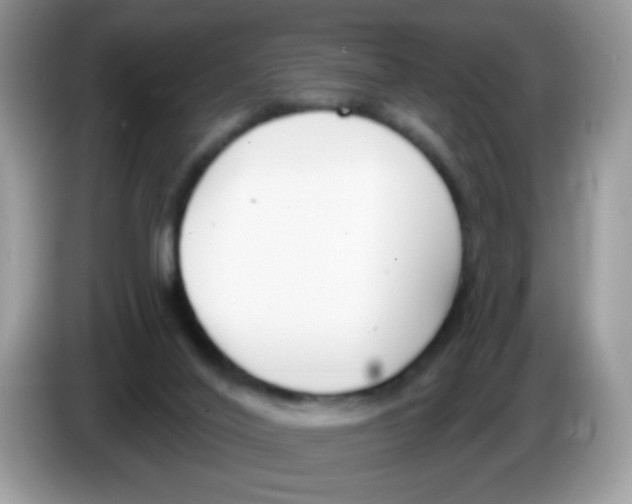 X0000086250020200704261945