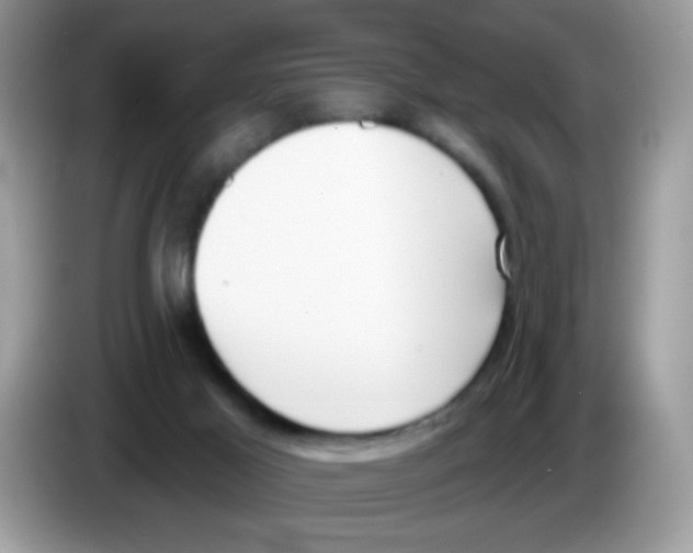 X0000086250021200704261945