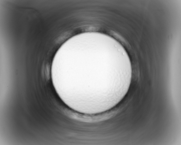 X0000086250022200704261945