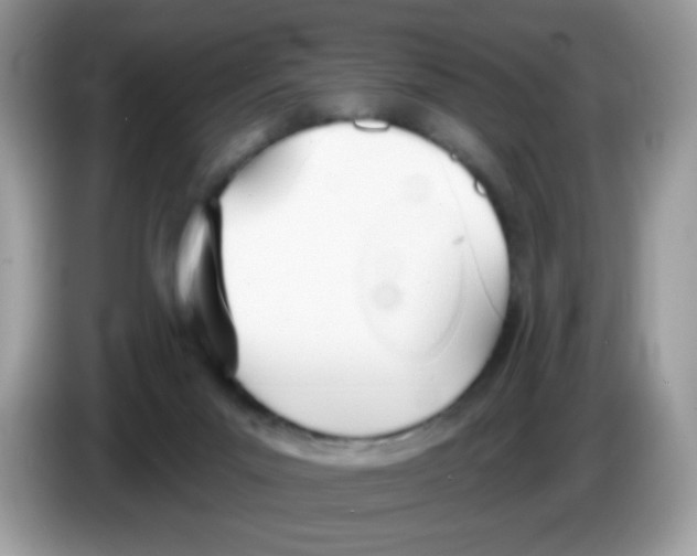 X0000086250023200704261945