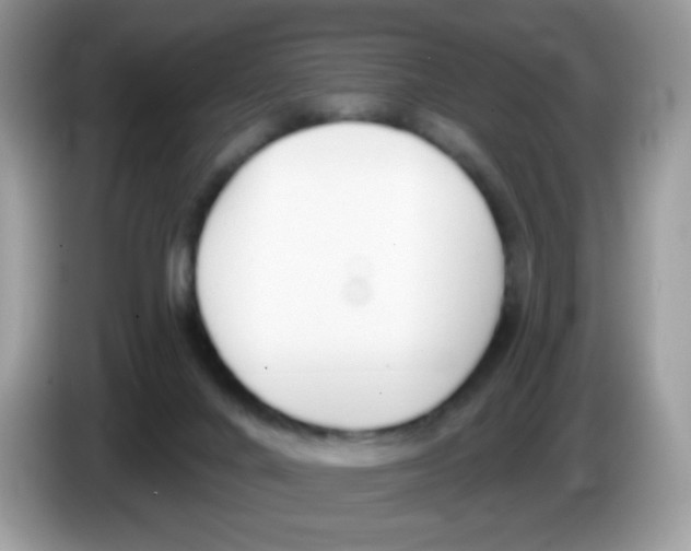 X0000086250024200704261945