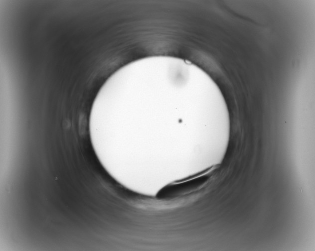 X0000086250025200704261945