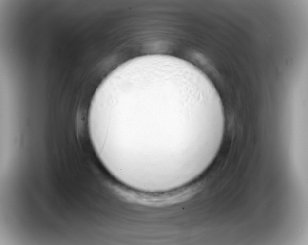 X0000086250026200704261945