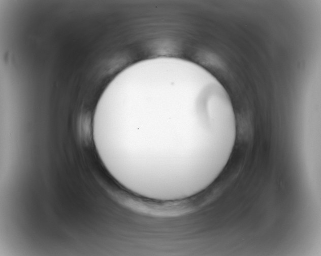 X0000086250028200704261945