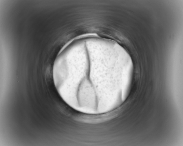 X0000086250029200704261945