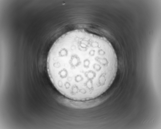 X0000086250030200704261945