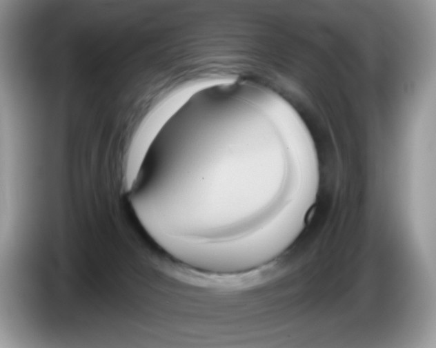 X0000086250031200704261945