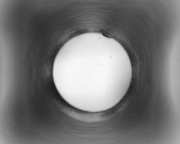 X0000086250032200704261945