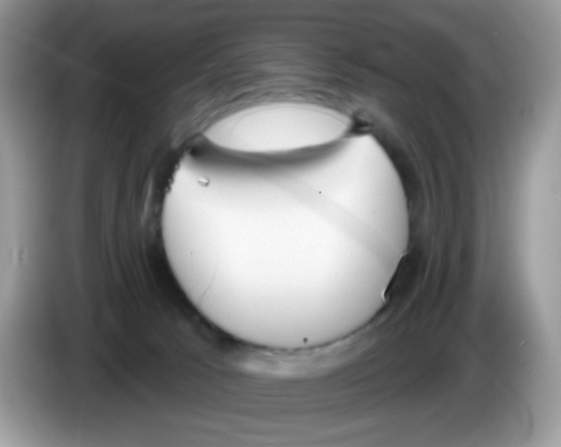 X0000086250033200704261945