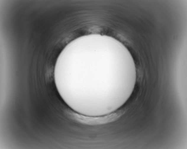 X0000086250034200704261945