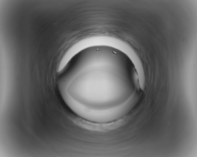 X0000086250035200704261945