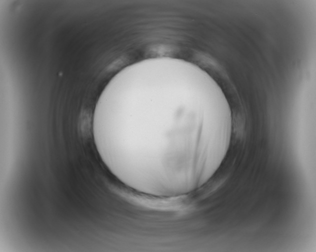 X0000086250036200704261945