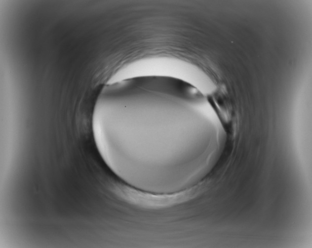 X0000086250039200704261945