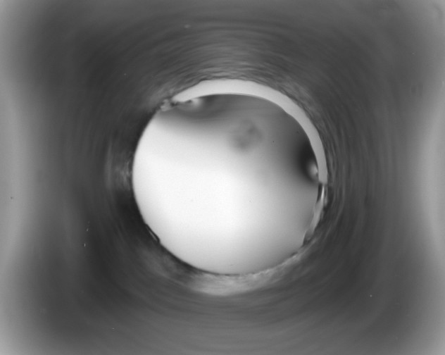 X0000086250045200704261944