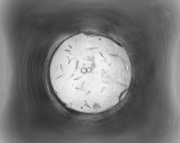 X0000086250049200704261944