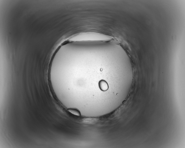 X0000086250051200704261944