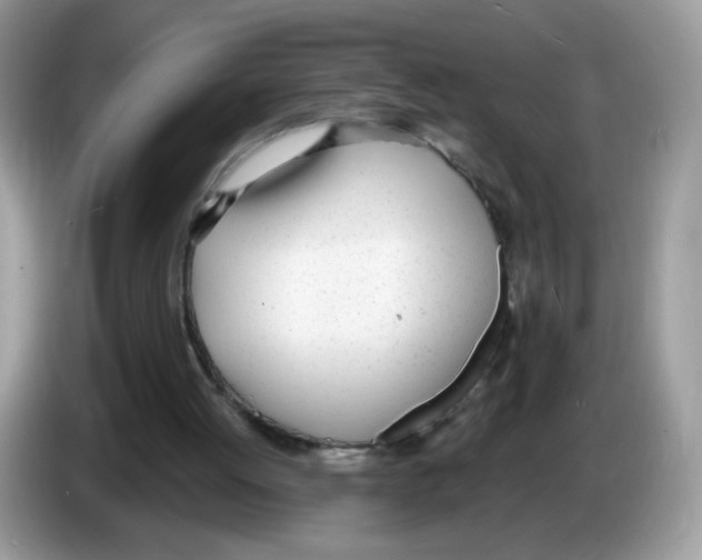 X0000086250052200704261944