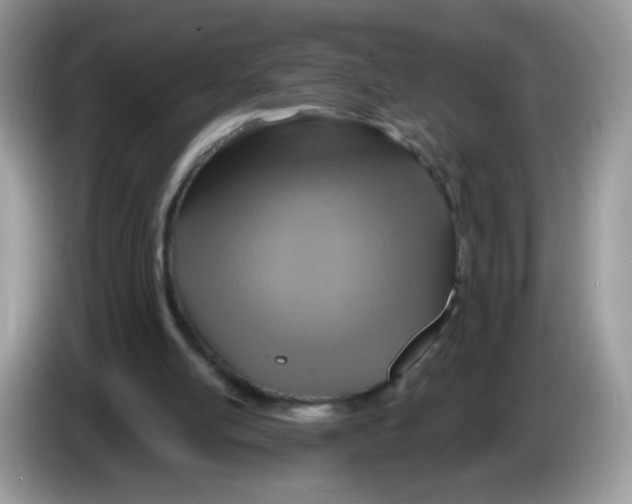 X0000086250054200704261944