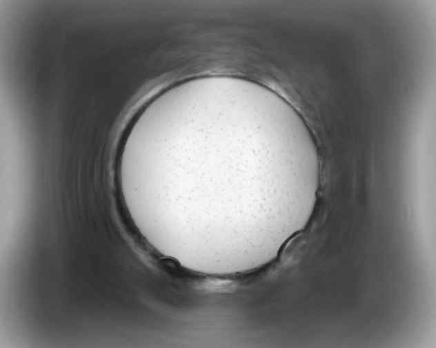 X0000086250055200704261944