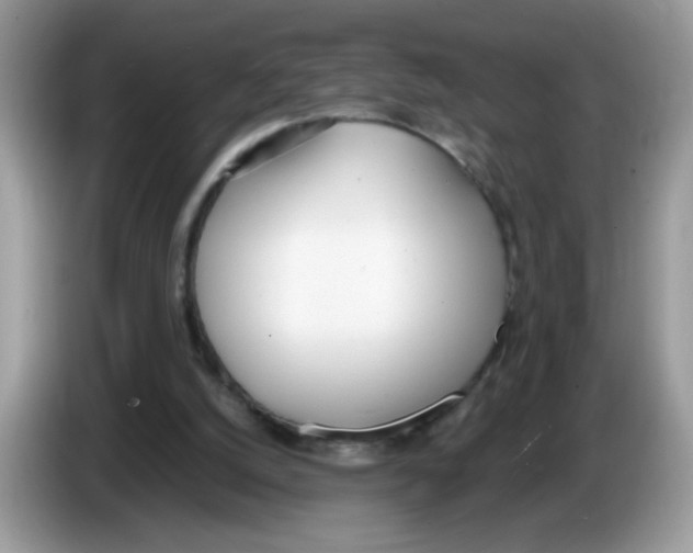 X0000086250056200704261944