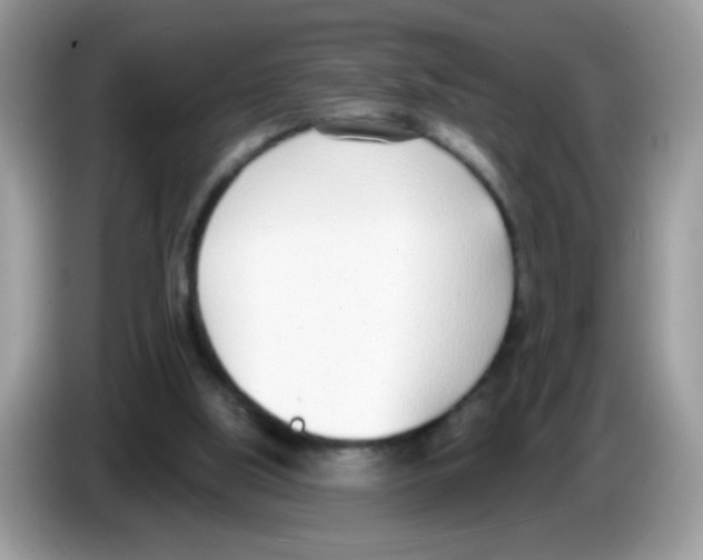 X0000086250059200704261944