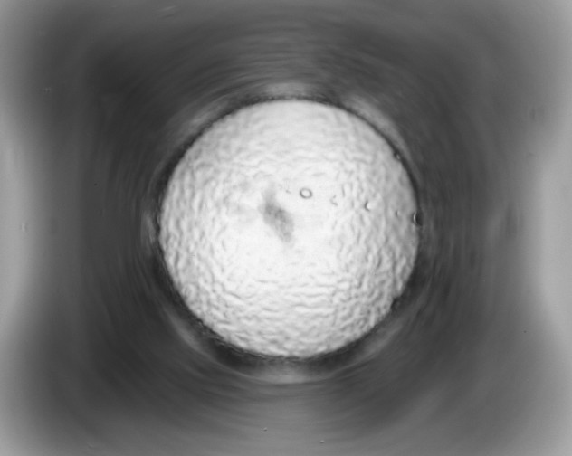 X0000086250061200704261944