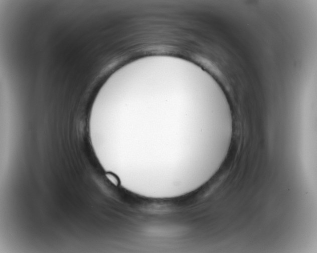 X0000086250063200704261944