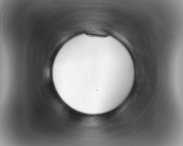 X0000086250067200704261944