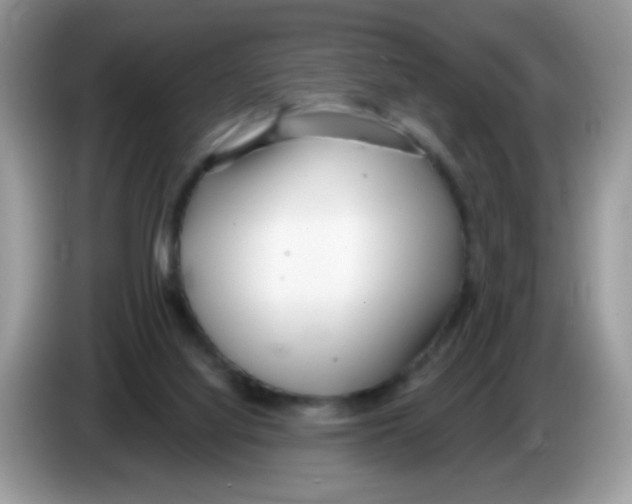 X0000086250068200704261944