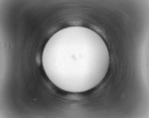 X0000086250069200704261944