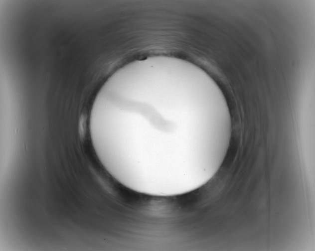 X0000086250070200704261944