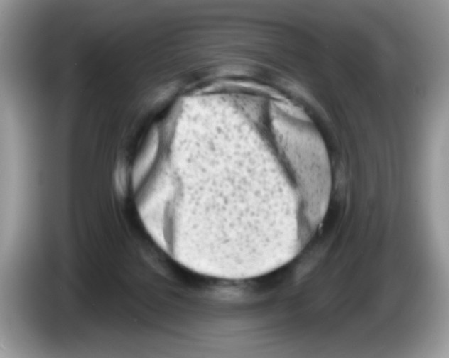 X0000086250076200704261944