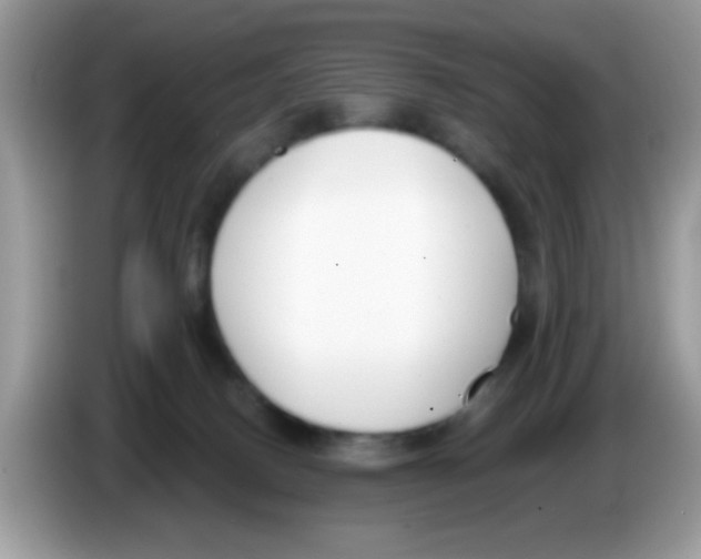 X0000086250082200704261944