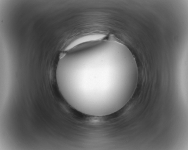 X0000086250088200704261944