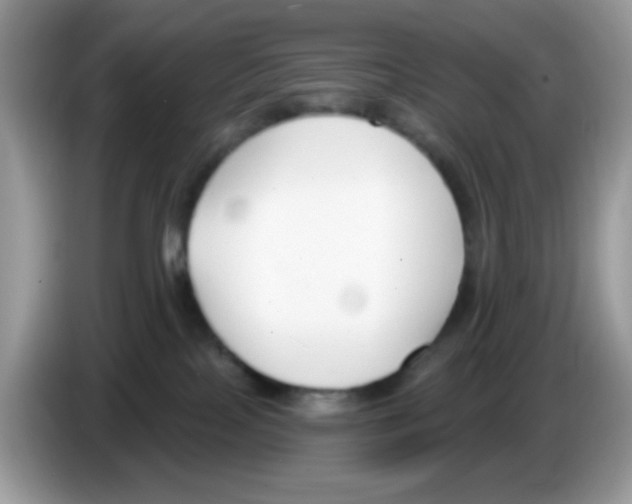 X0000086250089200704261944