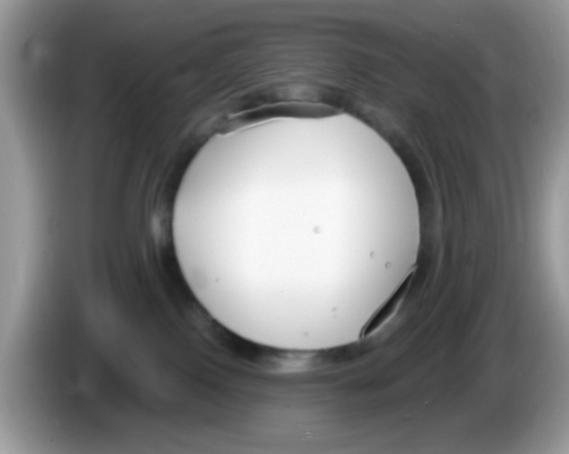 X0000086250090200704261944