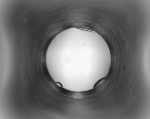 X0000086250091200704261944