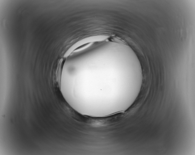 X0000086250096200704261944