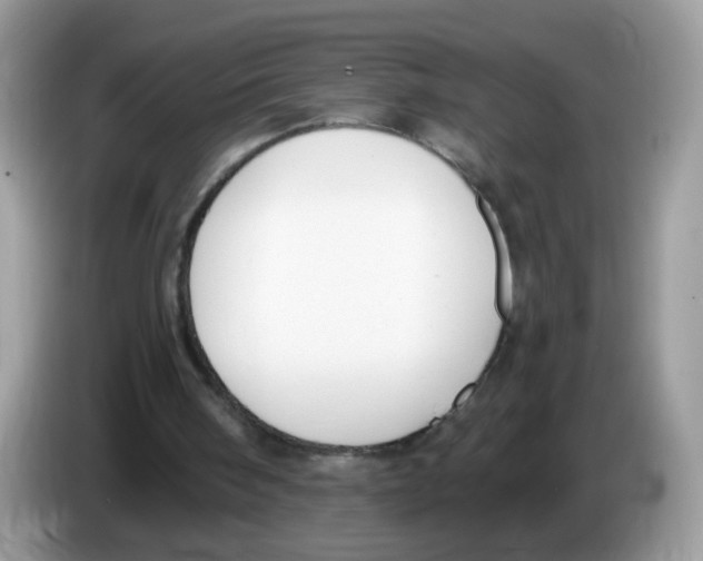 X0000086250098200704261944