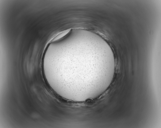 X0000086250099200704261944