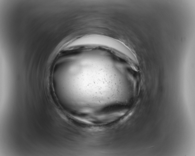 X0000086250101200704261944