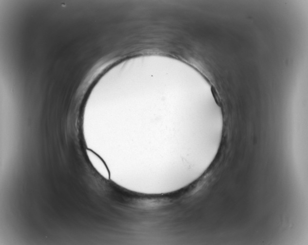 X0000086250103200704261944