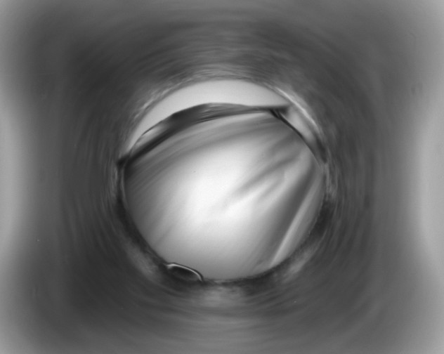 X0000086250109200704261944