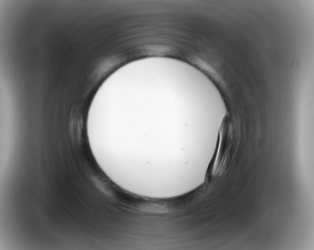 X0000086250110200704261944