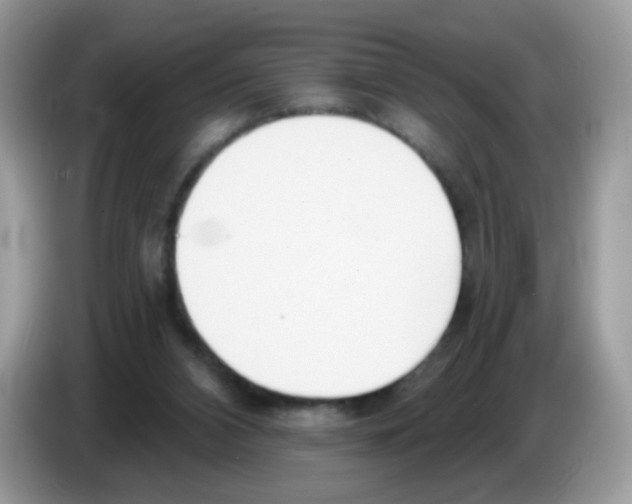 X0000086250112200704261944