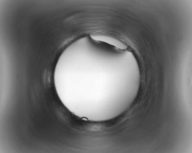 X0000086250115200704261944