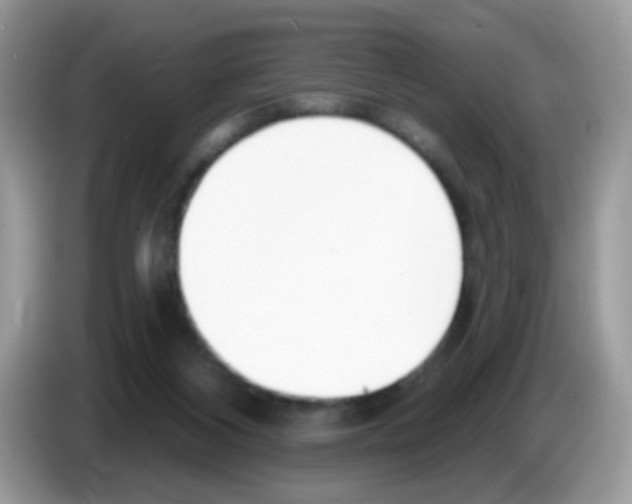 X0000086250116200704261944