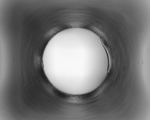 X0000086250117200704261944