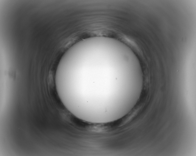 X0000086250121200704261943